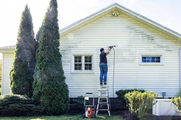 Best Garage Pressure Washing  in Oakland, IA
