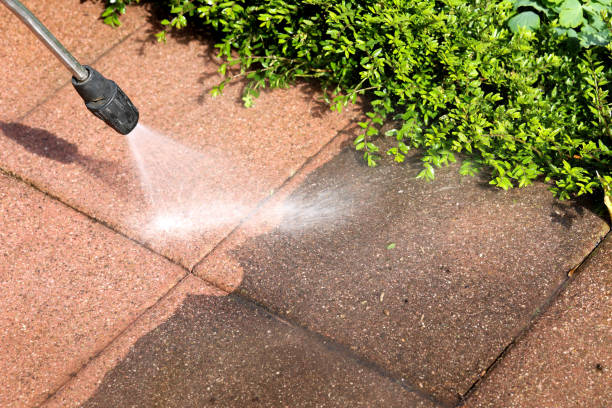 Best Sidewalk Pressure Washing  in Oakland, IA