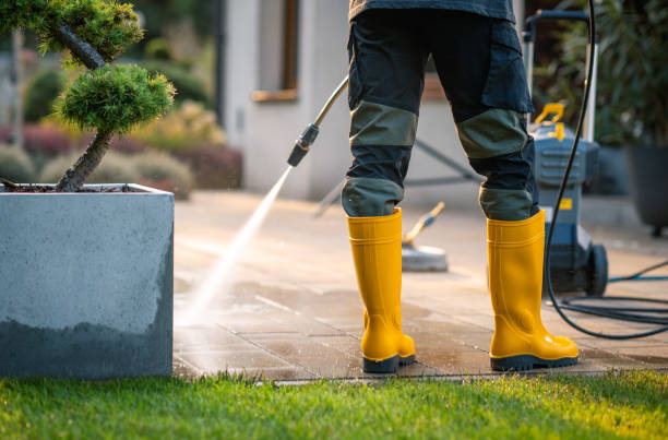 Best Roof Power Washing Services  in Oakland, IA